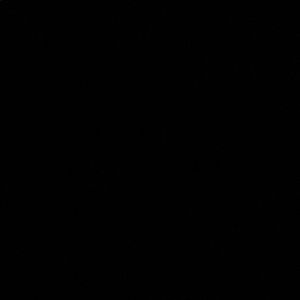 Meet your Posher, Dany